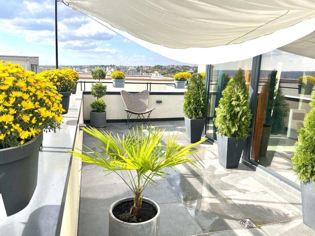 Appartement Penthouse Exclusive View , Iasi Extérieur photo